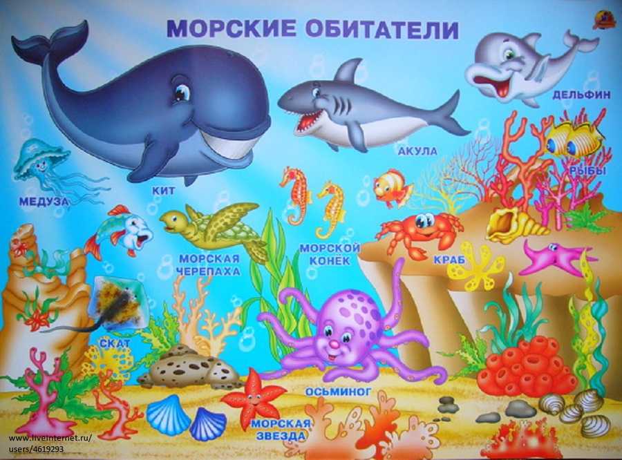 Как рыбы зимуют: познавательные рассказы в картинках для детей, сказки, загадки о рыбах