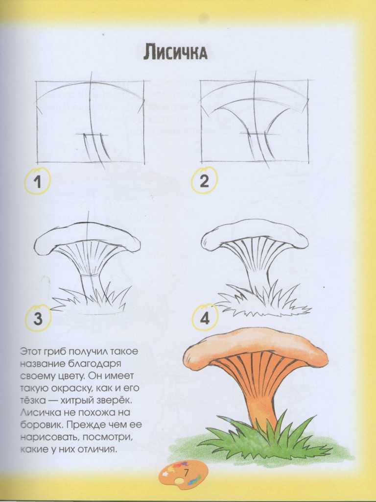 Как нарисовать гриб поэтапно
