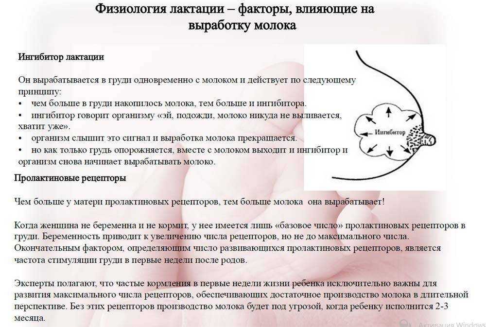 Лактостаз у кормящей матери симптомы и лечение