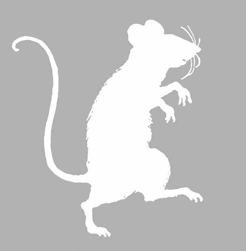 Крысы мышки своими руками: новые идеи к 2020 году
