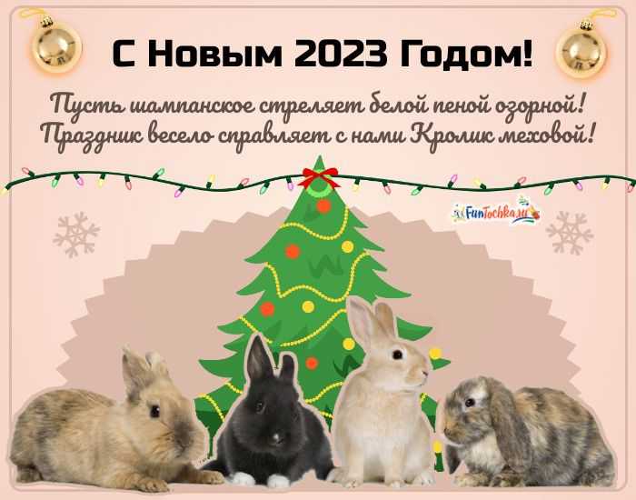Поздравление новым 2023. Кролик новый год. Год кролика НГ. Новый год 2023 открытки кролик. Поздравительные открытки с новым годом кролика.