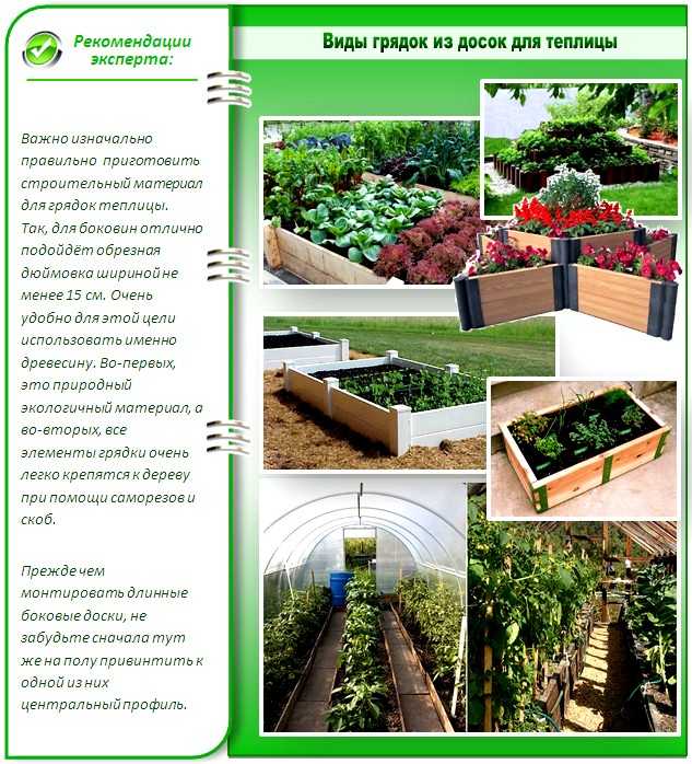 Какого размера лучше делать грядки: оптимальная длина и ширина, высота и расстояние