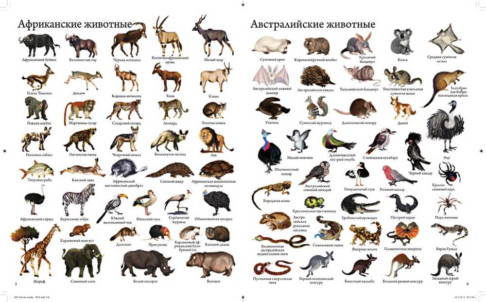 24 вида животных, названные в честь знаменитых людей • всезнаешь.ру