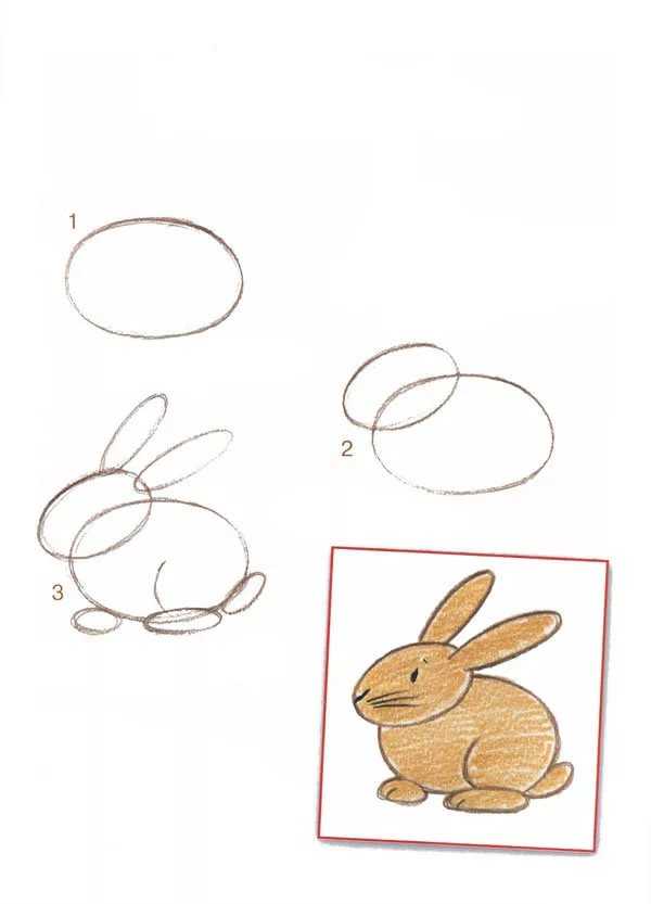 Как нарисовать зайца карандашом пошагово: простой мастер-класс с обзором идей и необычных решений от художника