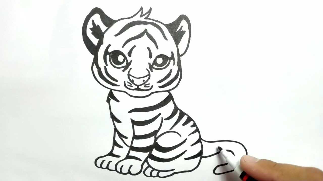 Как нарисовать тигра поэтапно | рисунок тигра карандашом