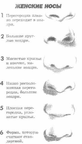 Психология по внешности: форма носа может рассказать о характере человека - леди - психология на joinfo.com