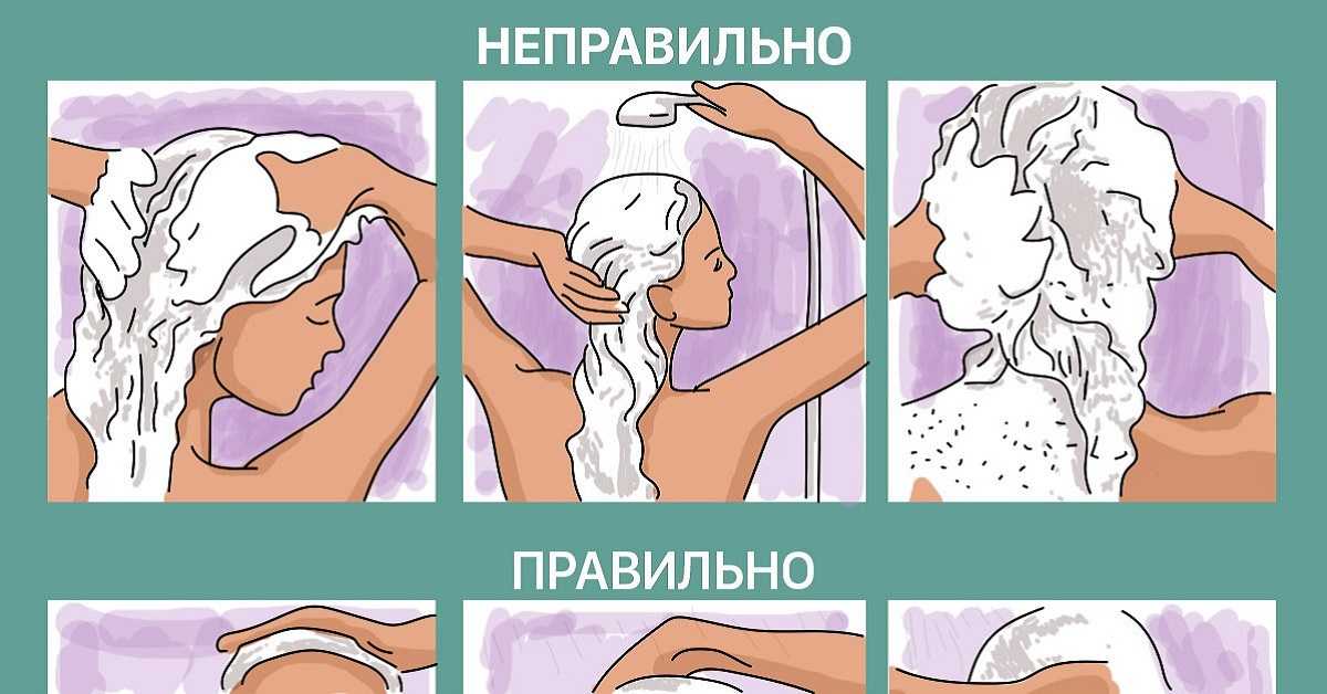 Базовый уход за волосами и кожей головы – этапы и правила гигиены: как правильно ухаживать, чем полезно мыть пряди в профилактических целях в домашних условиях