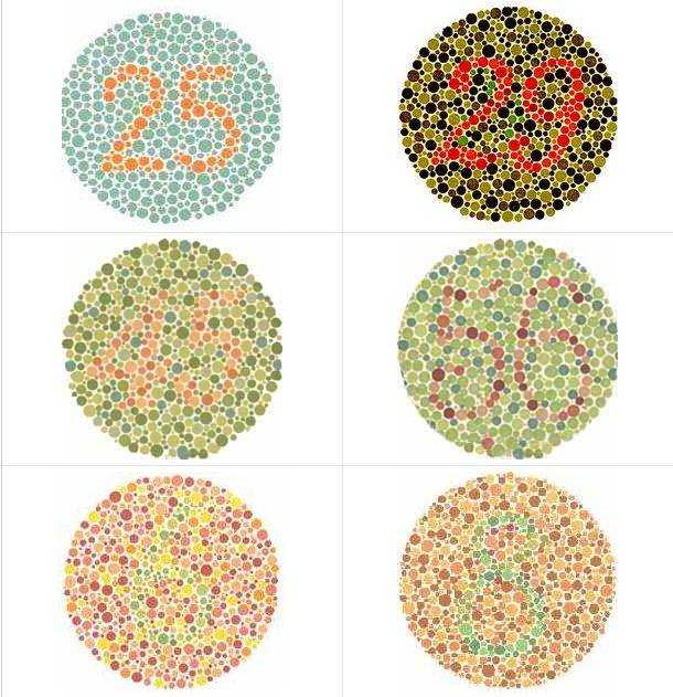 Как проверить зрение на цветовосприятие?