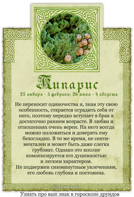 Гороскоп друидов (кельтский гороскоп). календарные пределы действия знака дерева|| сайт о травах и не только