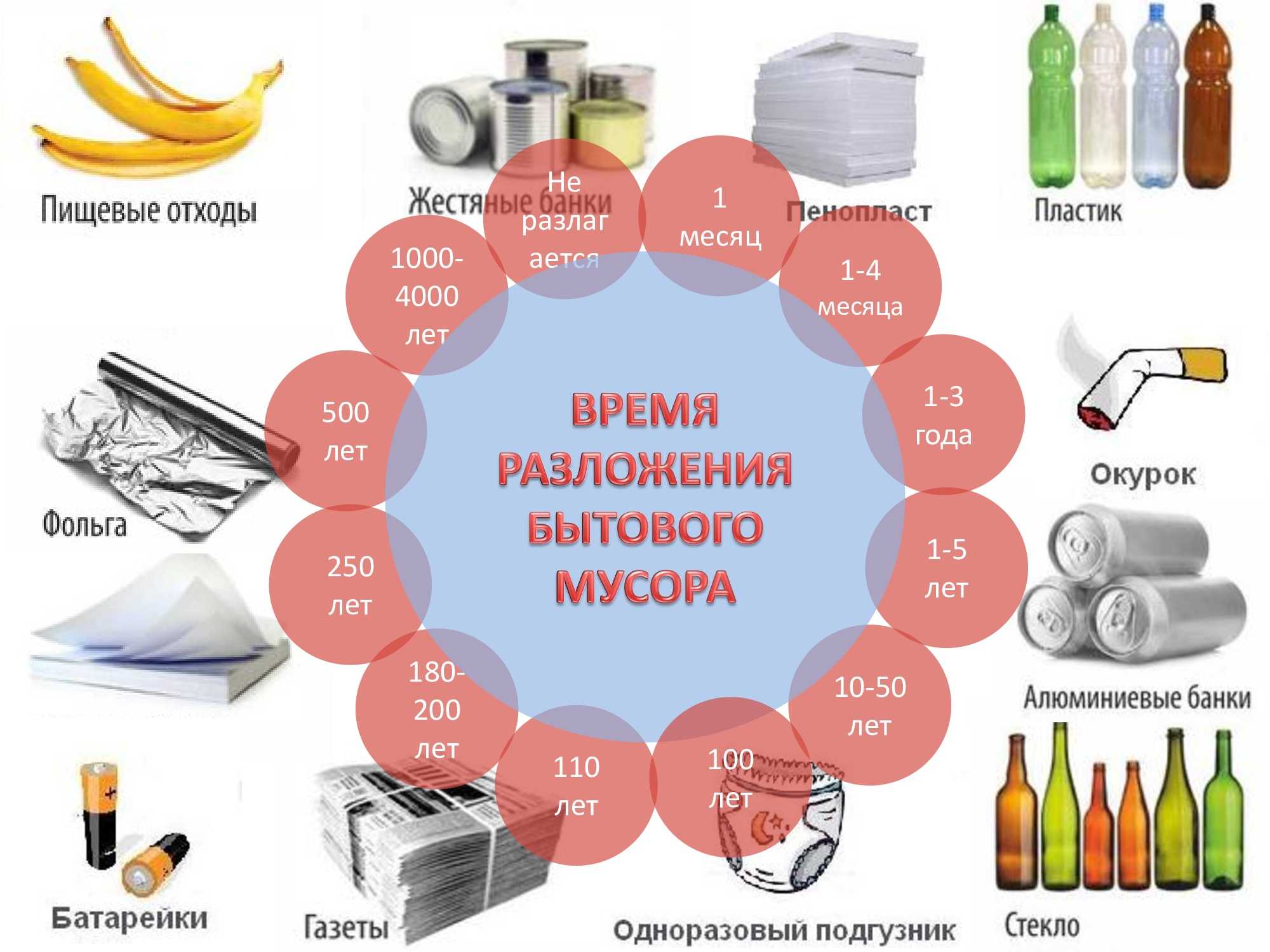 Картинка сколько разлагается мусор