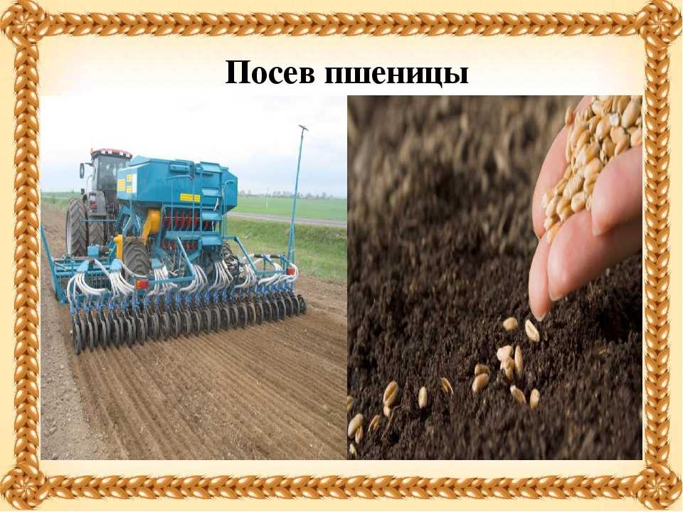 Дидактические игры своими руками по развитию речи. воспитателям детских садов, школьным учителям и педагогам