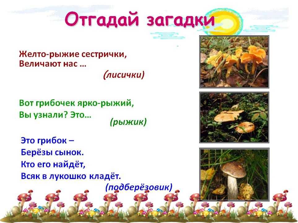 72 лучшие загадки про грибы для детей с ответами