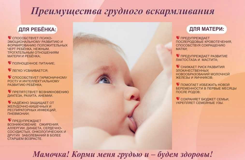 Преимущества грудного вскармливания до 2-х лет. рекомендации aap