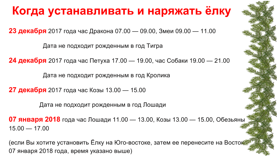 Какого числа ставить елку. Какой цвет на новый год 2023 наряжать елку. В какой цвет наряжать елку в 2023 году. Благоприятный день для наряжания елки. Какого числа нужно наряжать елку.