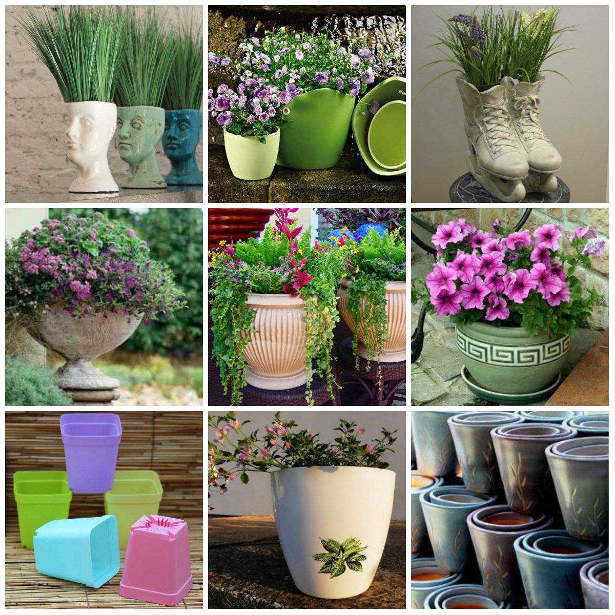 Цветы в кашпо для улицы: 15 декоративных растений для уличных вазонов