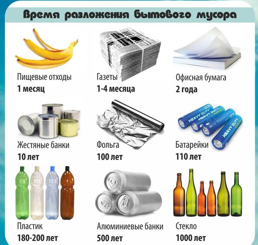Как долго разлагается мусор, выброшенный нами? :: инфониак