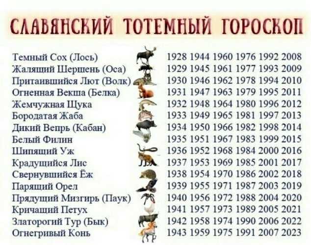 Тотемное животное по знаку зодиака – 12 талисманов