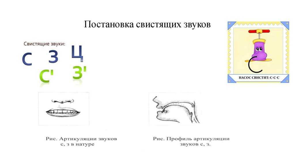 Как научить ребенка правильно говорить звук “с” и другие свистящие звуки