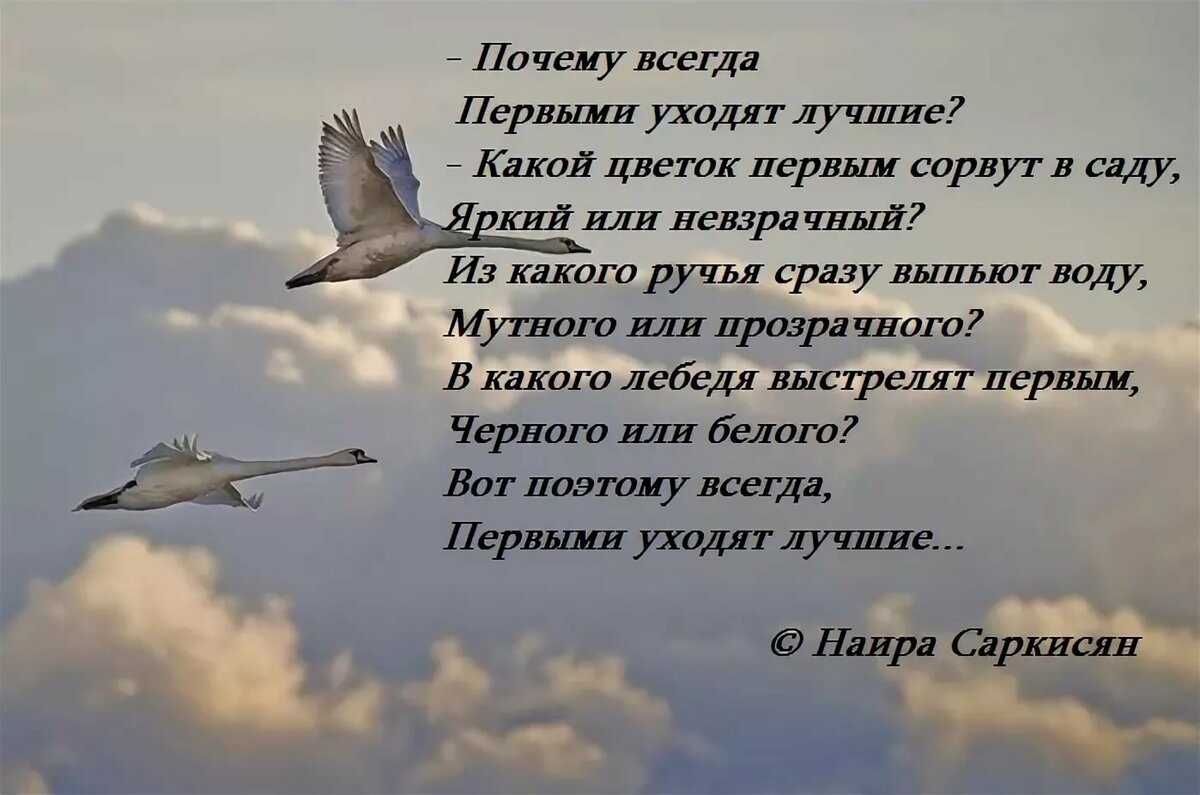 Почему пусть. Стихи об ушедших. Уходят лучшие люди стихи. Стихи об ушедшем человеке. Стихи об ушедших из жизни.