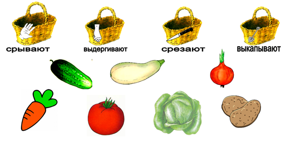 Фрукты овощи задания для дошкольников – 4-6 : , , - club-detstvo.ru - центр искусcтв и творчества марьина роща