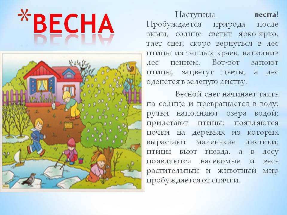 Составить план текста весенний лес