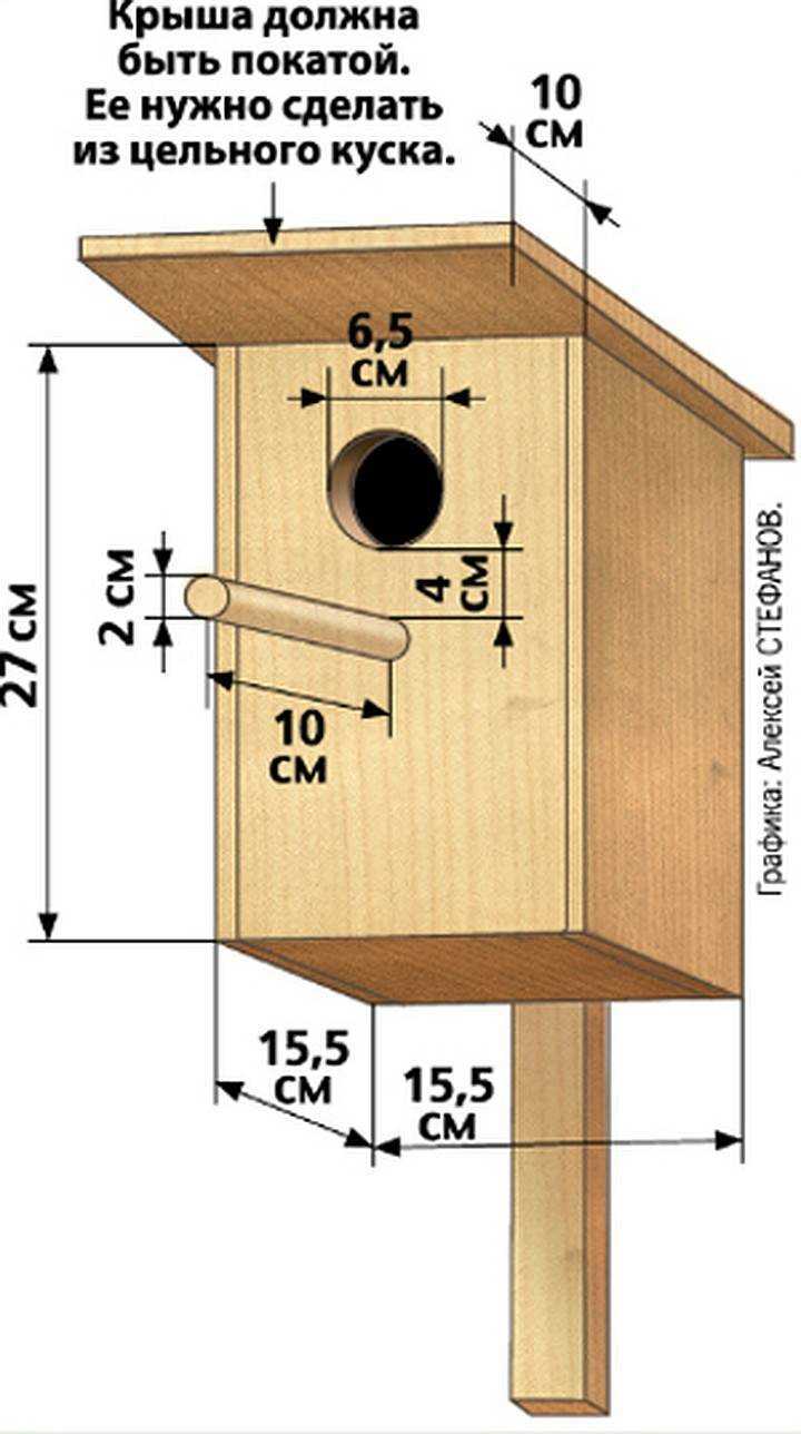 Скворечник: размеры, чертеж и советы по созданию птичьего жилья