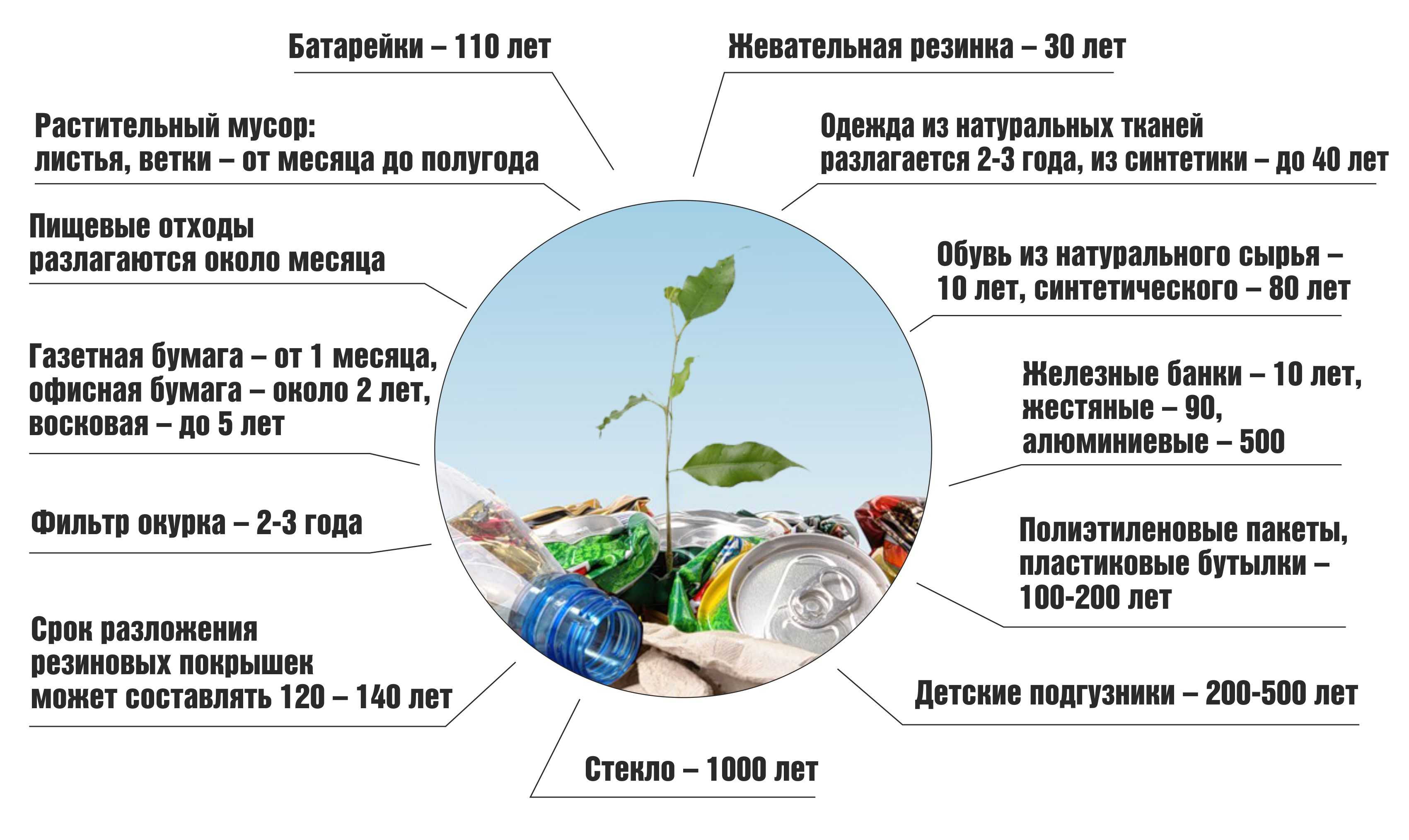 Проект бытовые отходы человечества как спастись от мусора