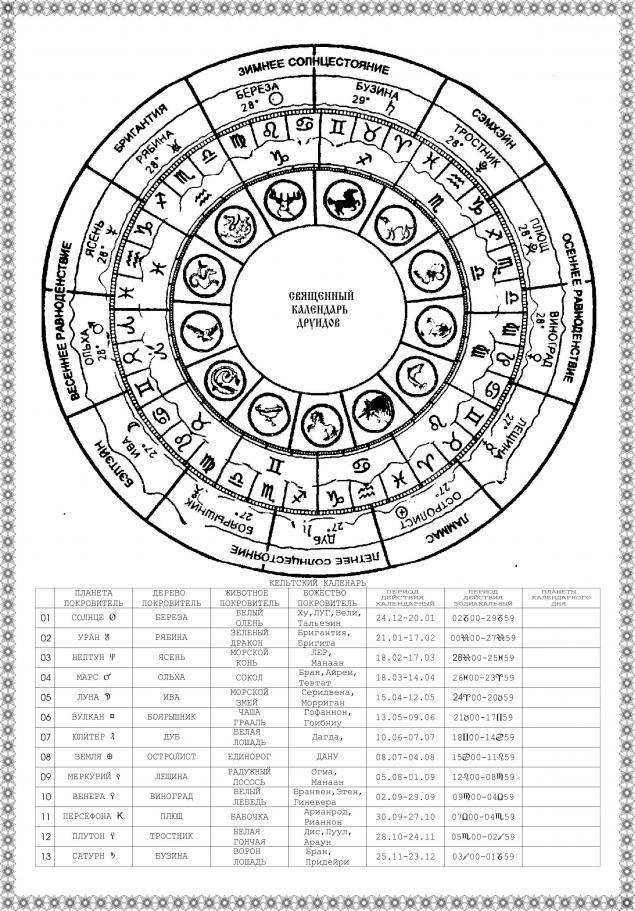 Гороскоп друидов: какое вы дерево в кельтской астрологии