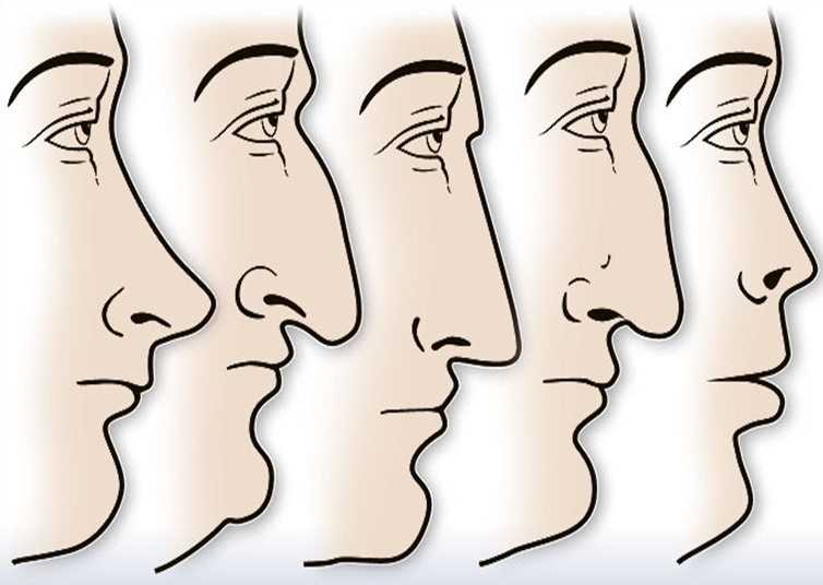 Форма носа многое расскажет о характере человека