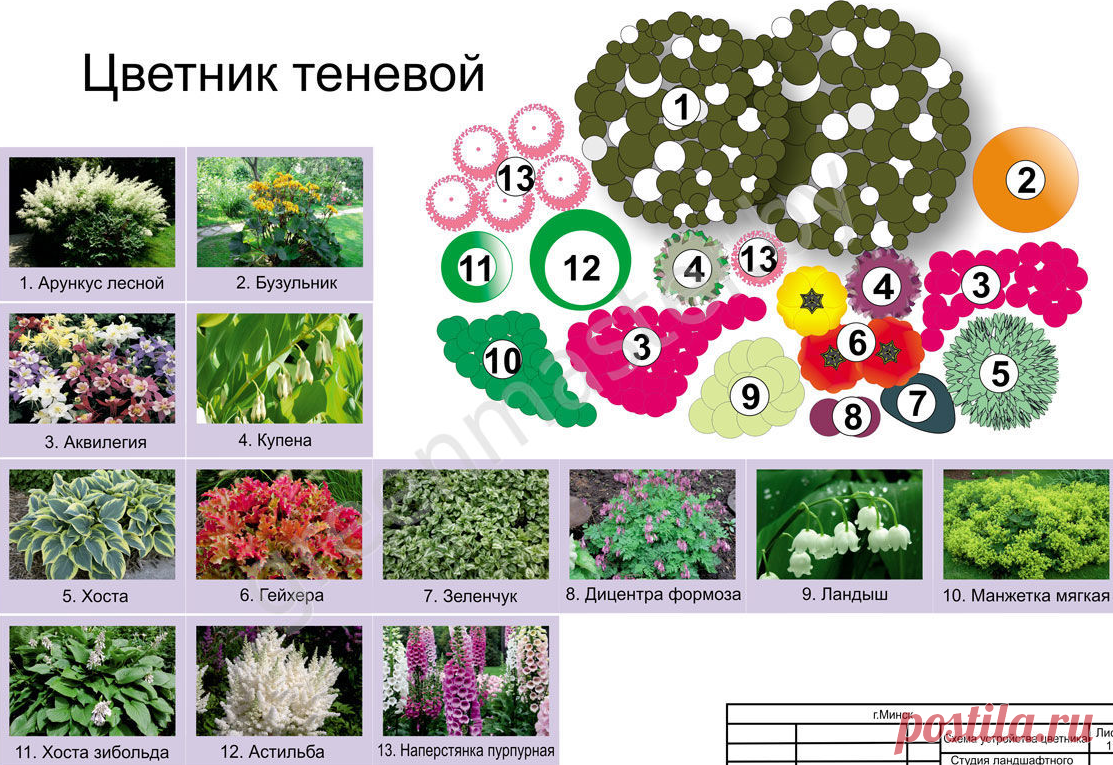 Схемы клумб для начинающих