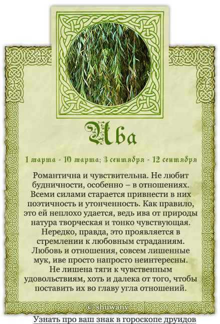 Гороскоп друидов: дата рождения, имя, дерево 💗 астрология знаки зодиака по датам