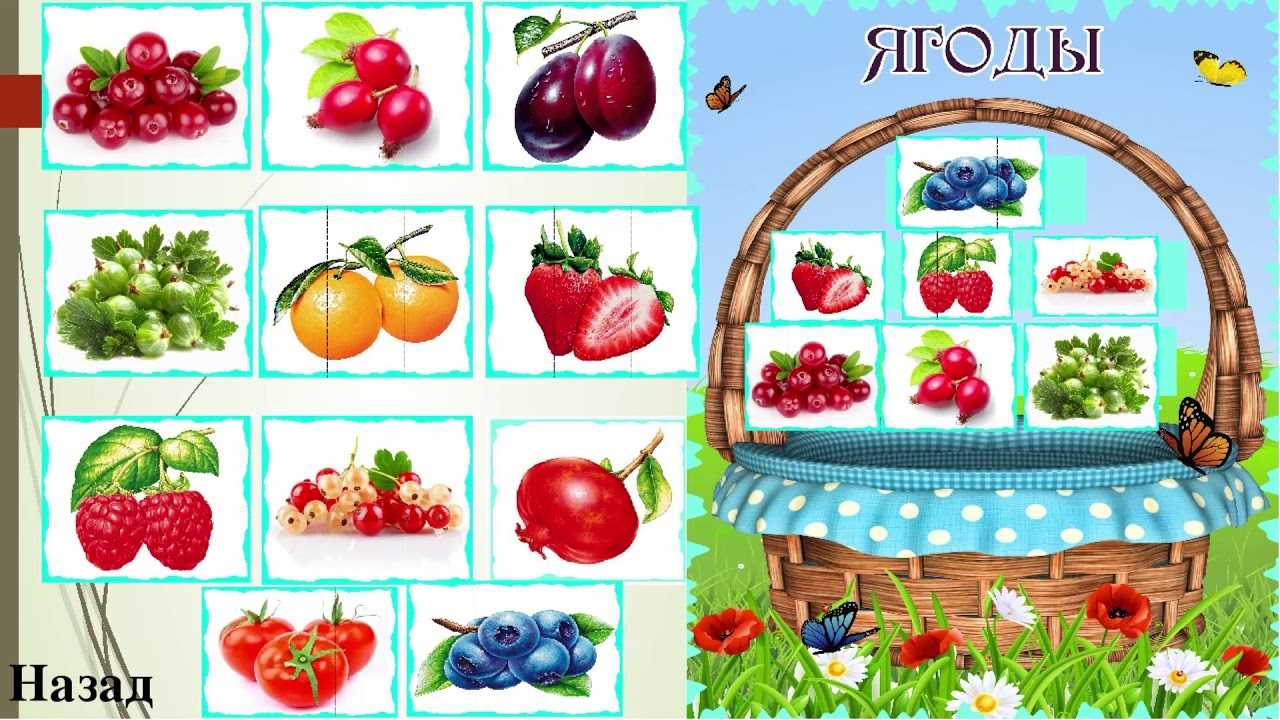 Картотека дидактических игр на тему :" овощи и фрукты" для детей дошкольного возраста
