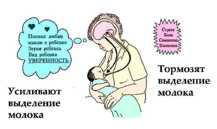 Почему мало молока у кормящей мамы и что делать? устраняем причины
