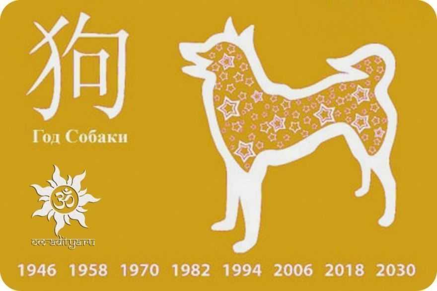 Что можно, а что нельзя дарить на новый 2020 год желтой собаки?