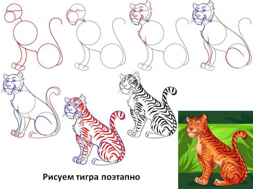 Как нарисовать тигра легко и просто, рисунок тигра