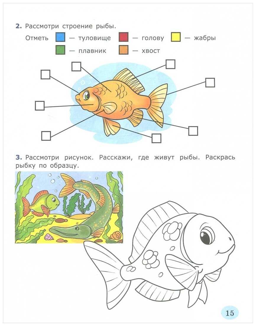 Логопедическая презентация рыбы