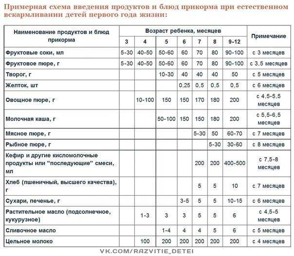 План введения прикорма с 4 месяцев