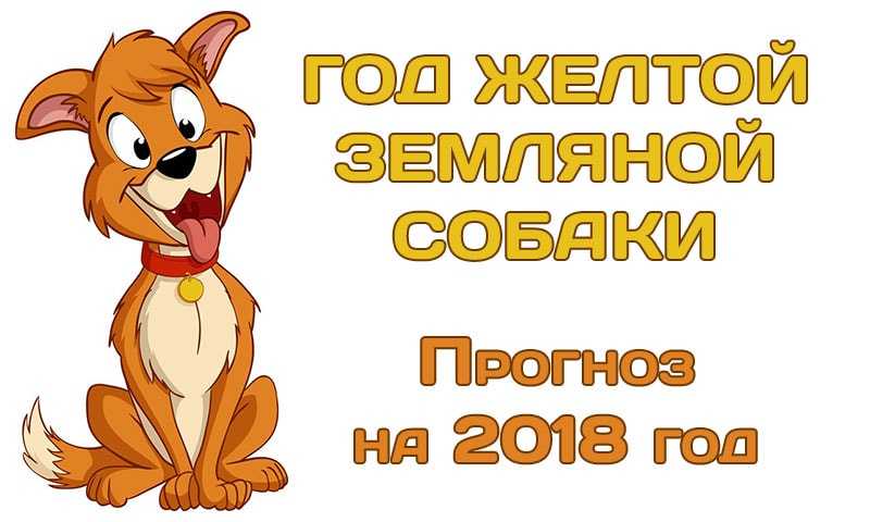 Год желтой собаки 2018 - гороскоп для всех знаков зодиака