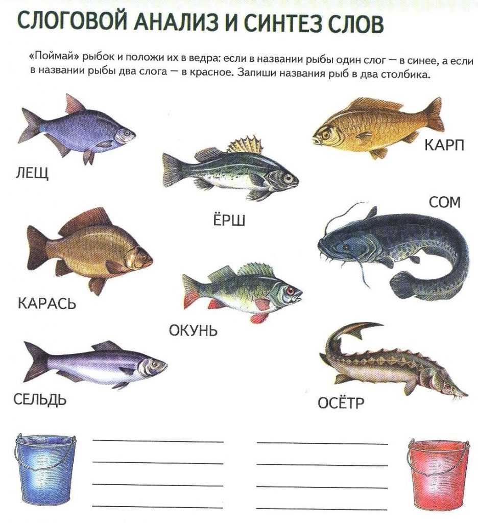 Лексическая тема рыбы в подготовительной логопедической группе