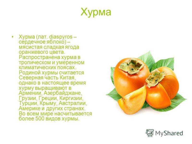 Рыбий жир при грудном вскармливании: можно или нет?