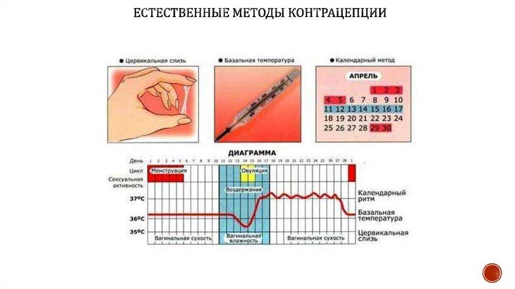 Календарный метод картинки