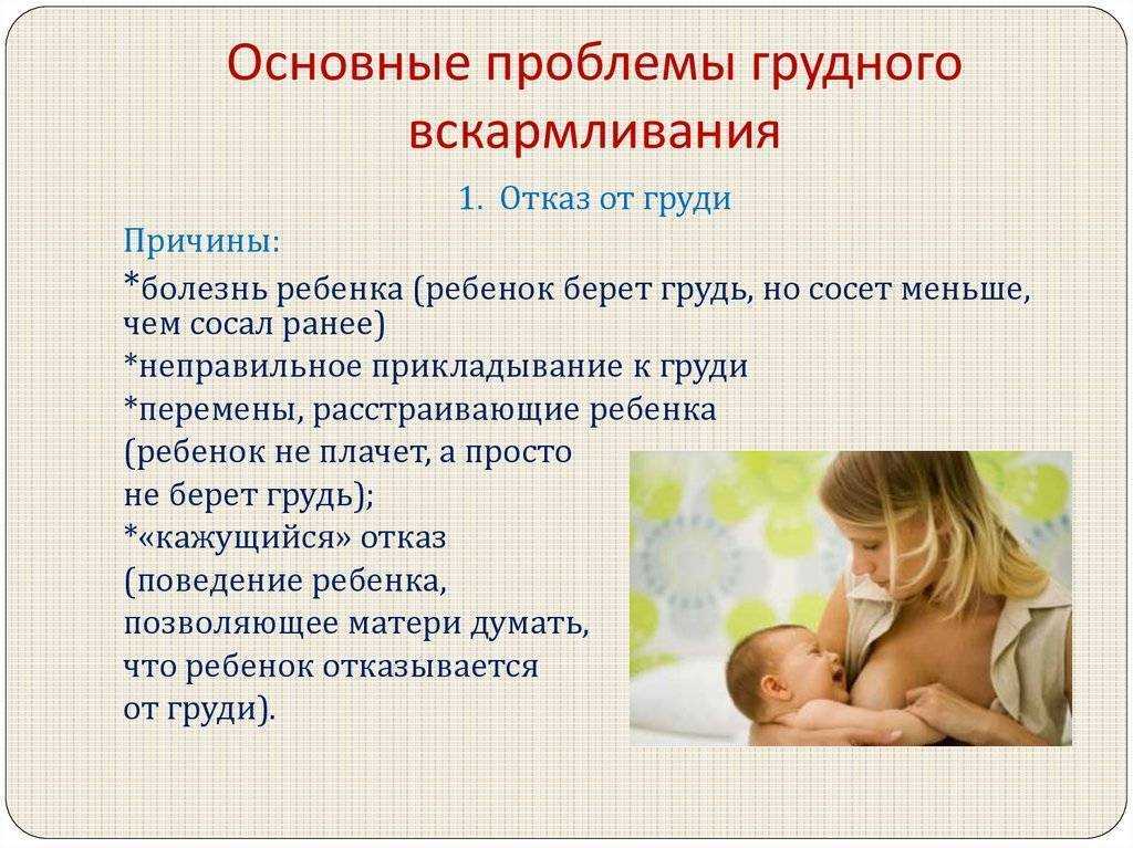 Когда отлучать от груди