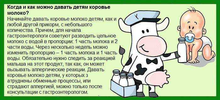 Мясное пюре для первого прикорма. с чего начать мясной прикорм? — гбуз «городская детская поликлиника»