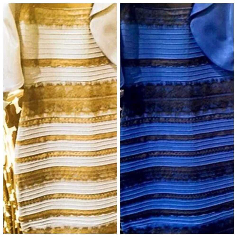 Как меняется цвет платья. бело-золотое или сине-черное? мировой интернет поругался из-за цвета платья. что узнали ученые?