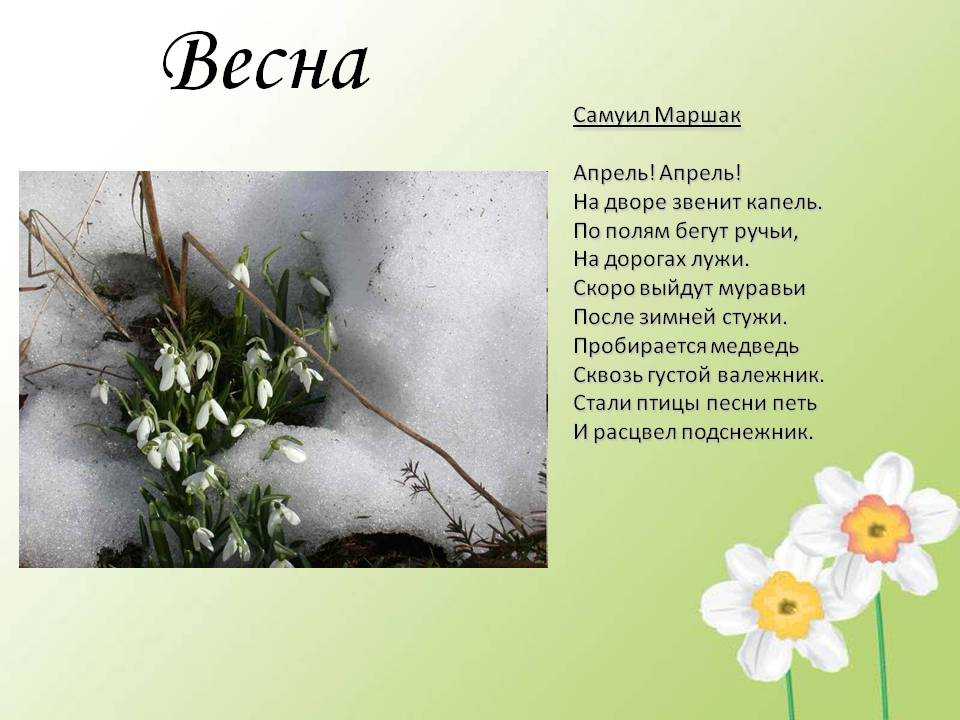 Стихи о весне рисунок о весне