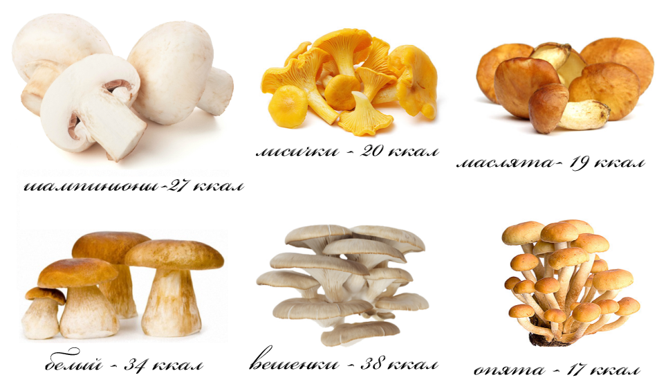 Со скольки лет можно давать грибы детям?