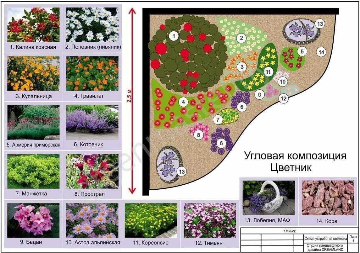 Миксбордеры из многолетников фото схемы