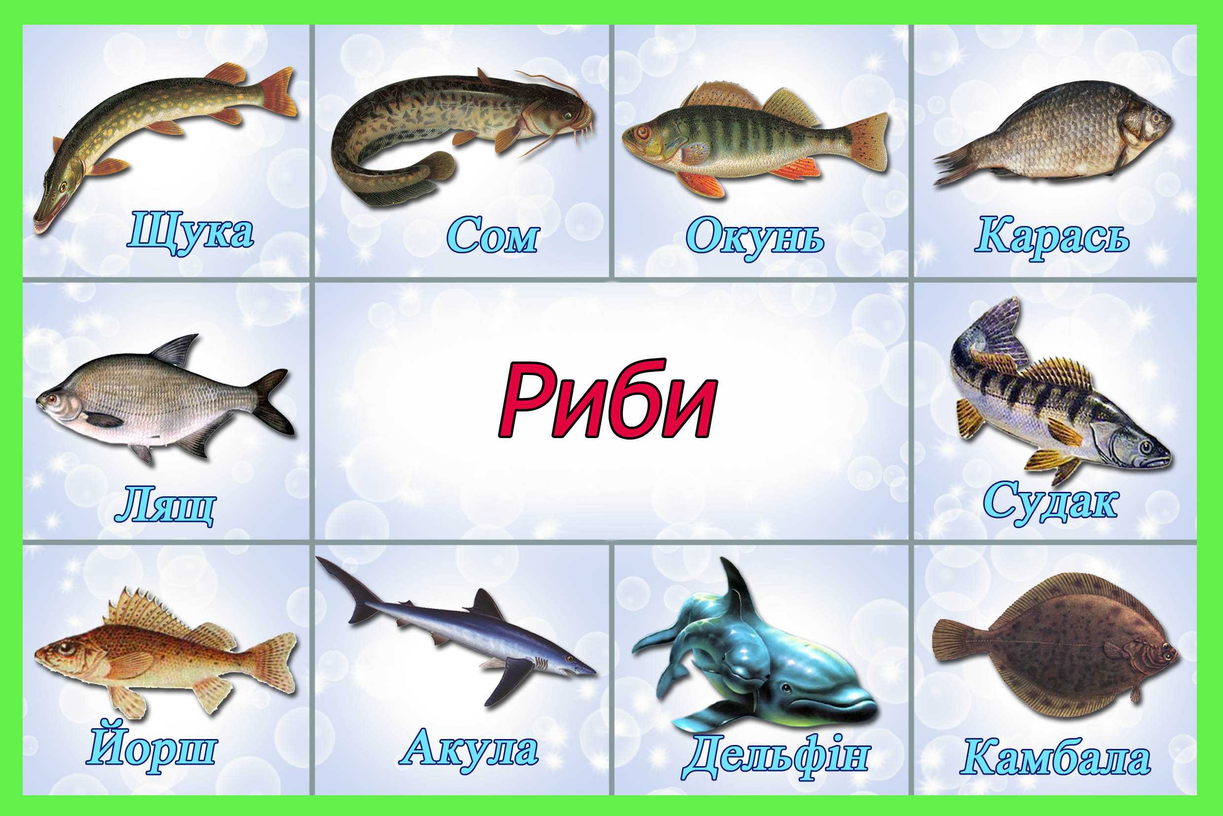 список рыб черного моря