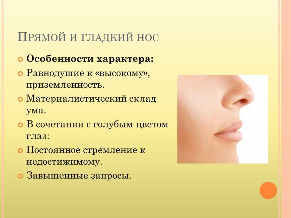 Как можно узнать характер человека по форме носа