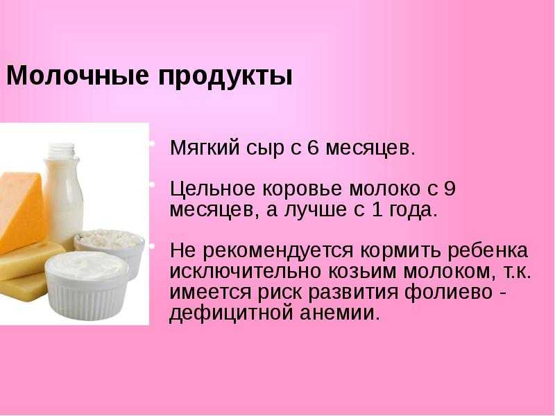Производство молока и молочной продукции: всё для открытия